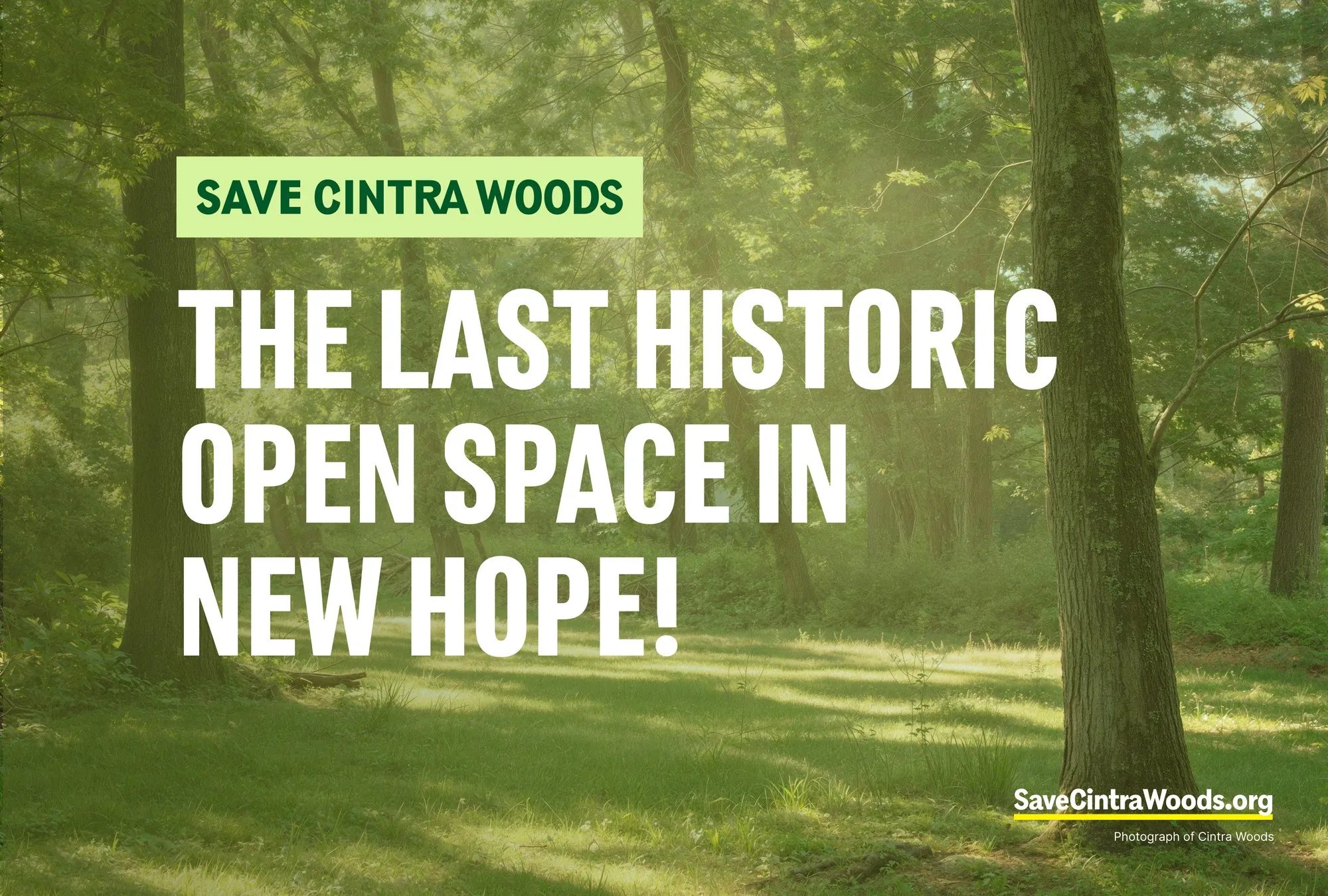 Postcard front: a sunlit clearing in Cintra Woods with the headline “The last historic open space in New Hope!”